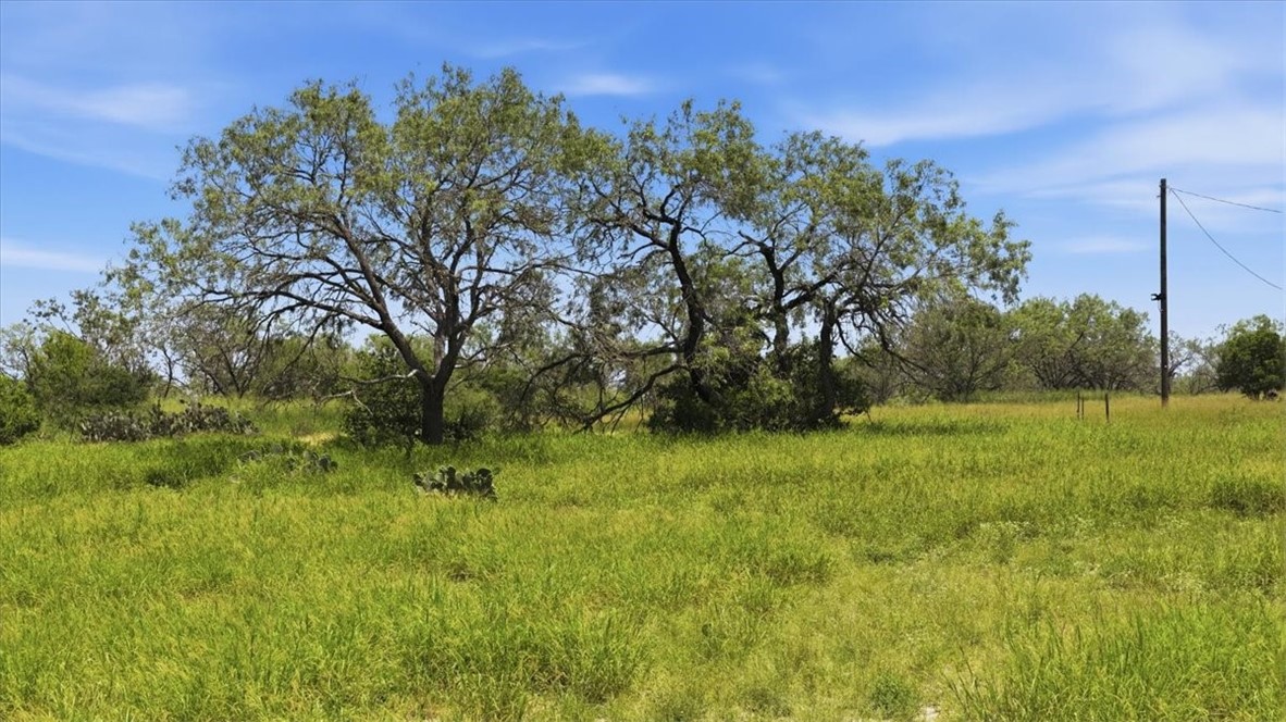 140 Choke Canyon Three Rivers, TX 78071 - Photo 5 of 17