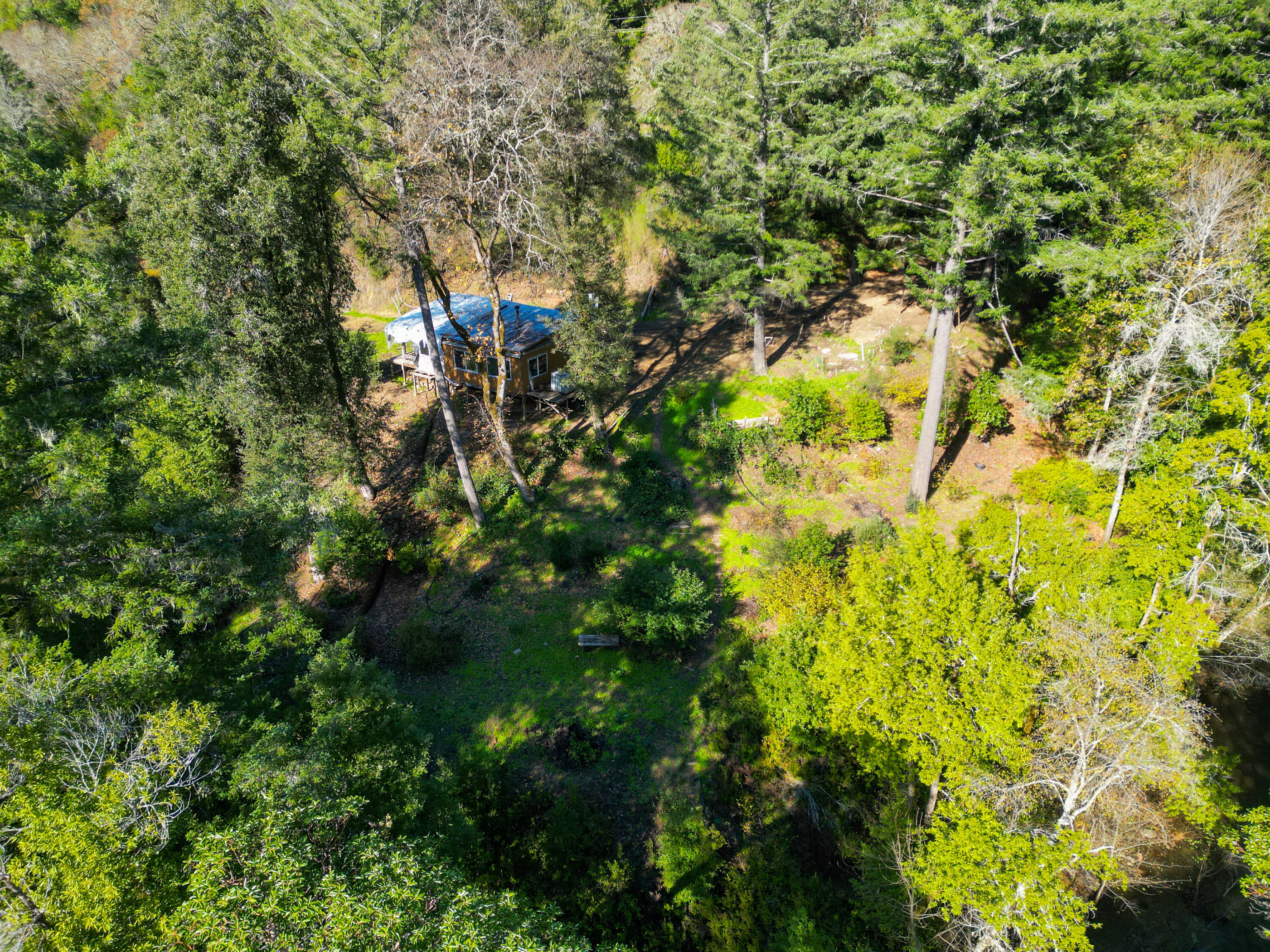 5200 Briceland Road Redway, CA 95560 - Photo 18 of 31