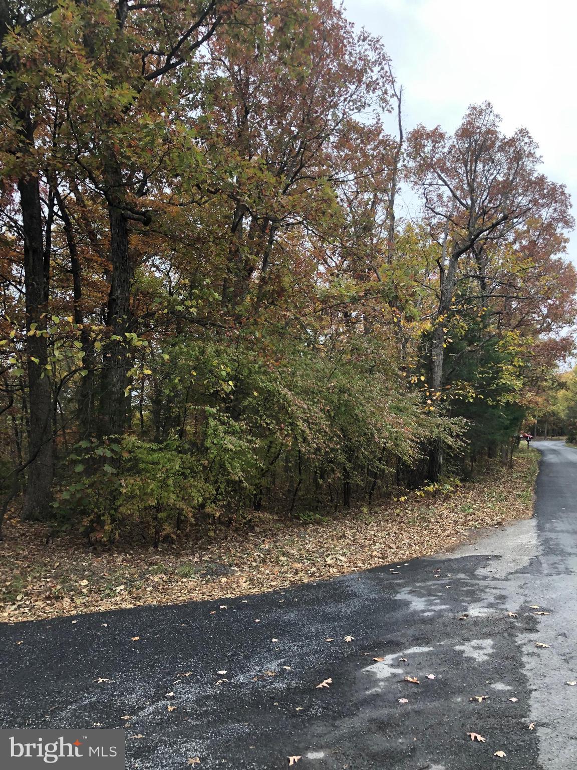 0 Supinlick Ridge Road Mount Jackson, VA 22842 - Photo 2 of 3 a view of a yard with plants and trees