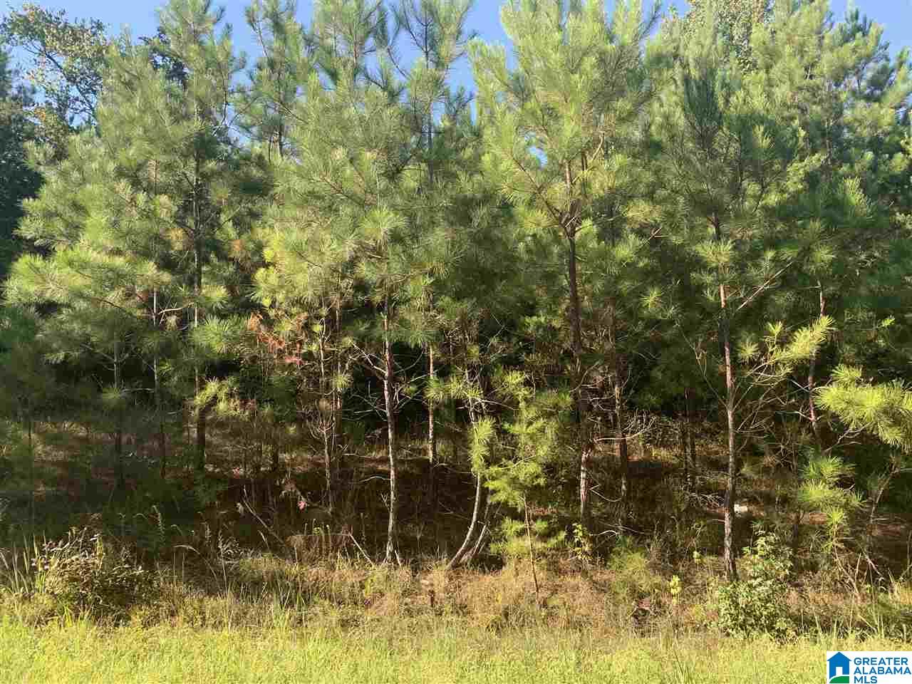 Mckesie Street, Unit 40 Riverside, AL 35135 - Photo 8 of 24