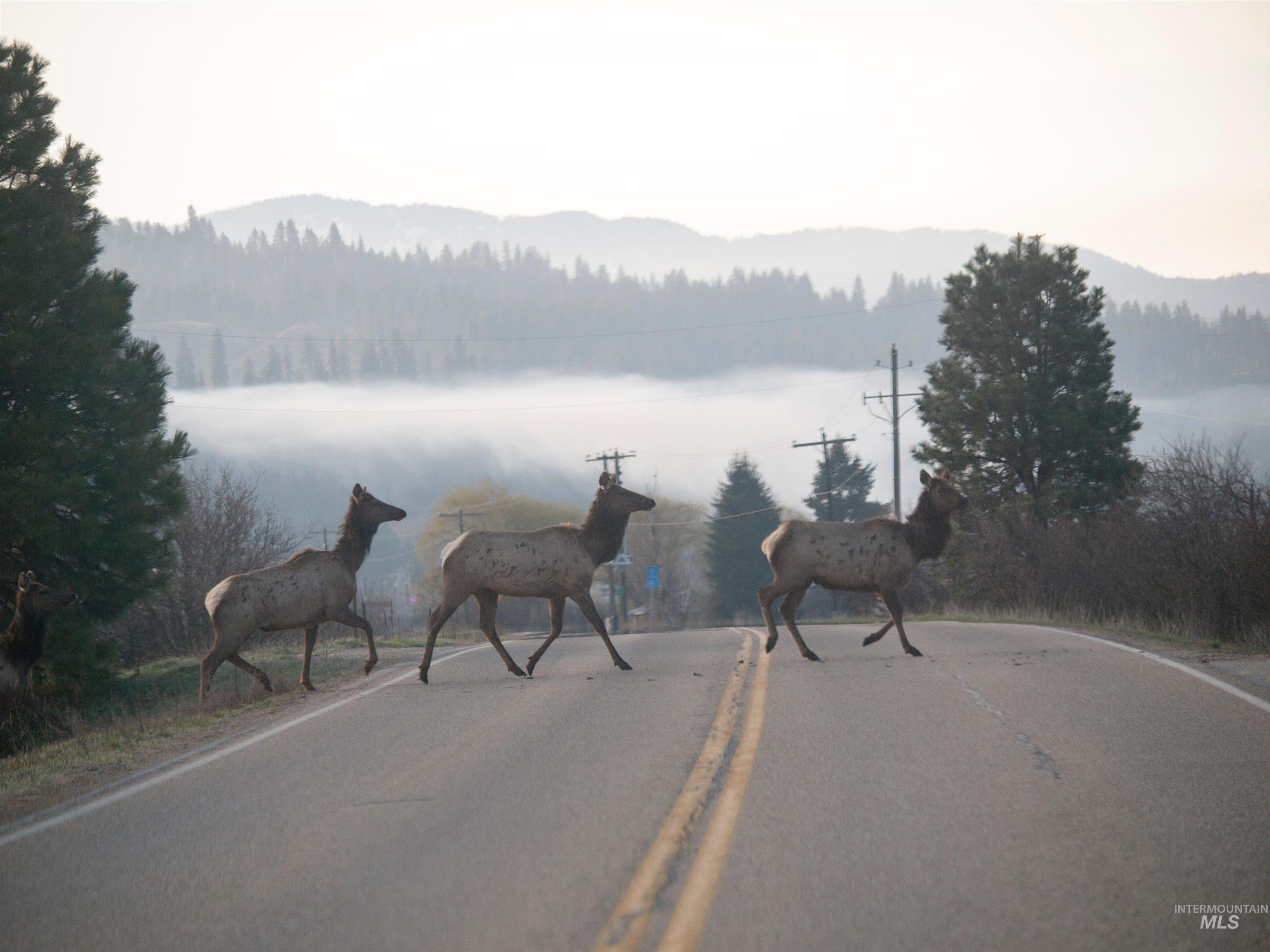 9 Blk Whitewater Way Garden Valley, ID 83622 - Photo 18 of 49
