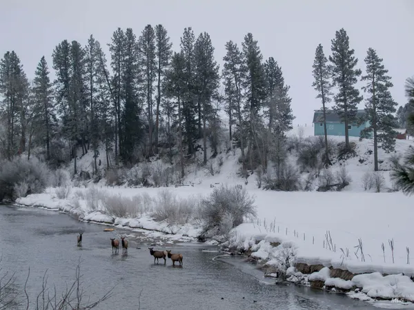 $105,000 | 9 Blk Whitewater Way, Garden Valley, ID 83622
