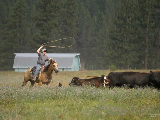 $105,000 | 9 Blk Whitewater Way, Garden Valley, ID 83622