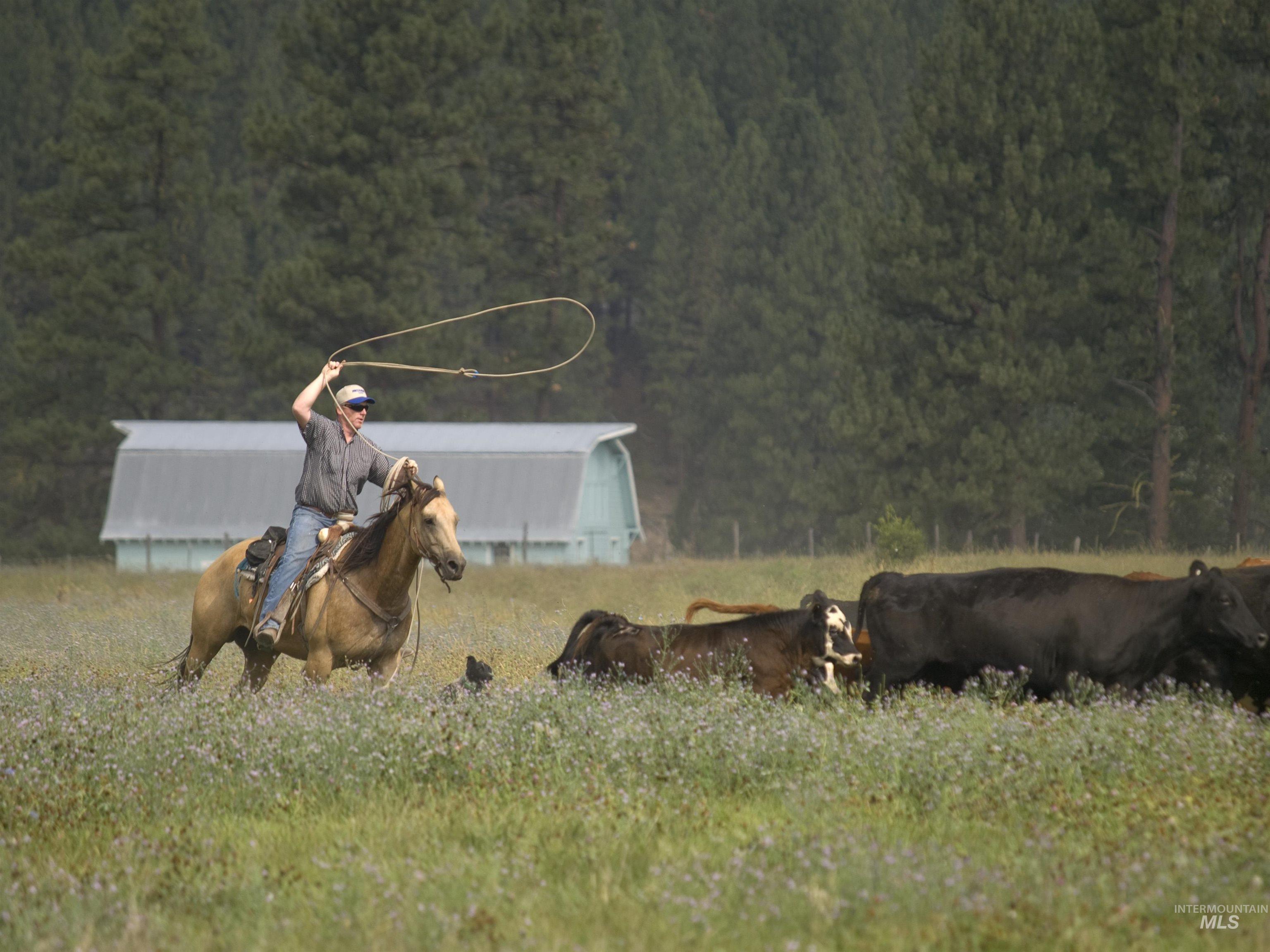 9 Blk Whitewater Way Garden Valley, ID 83622 - Photo 24 of 49