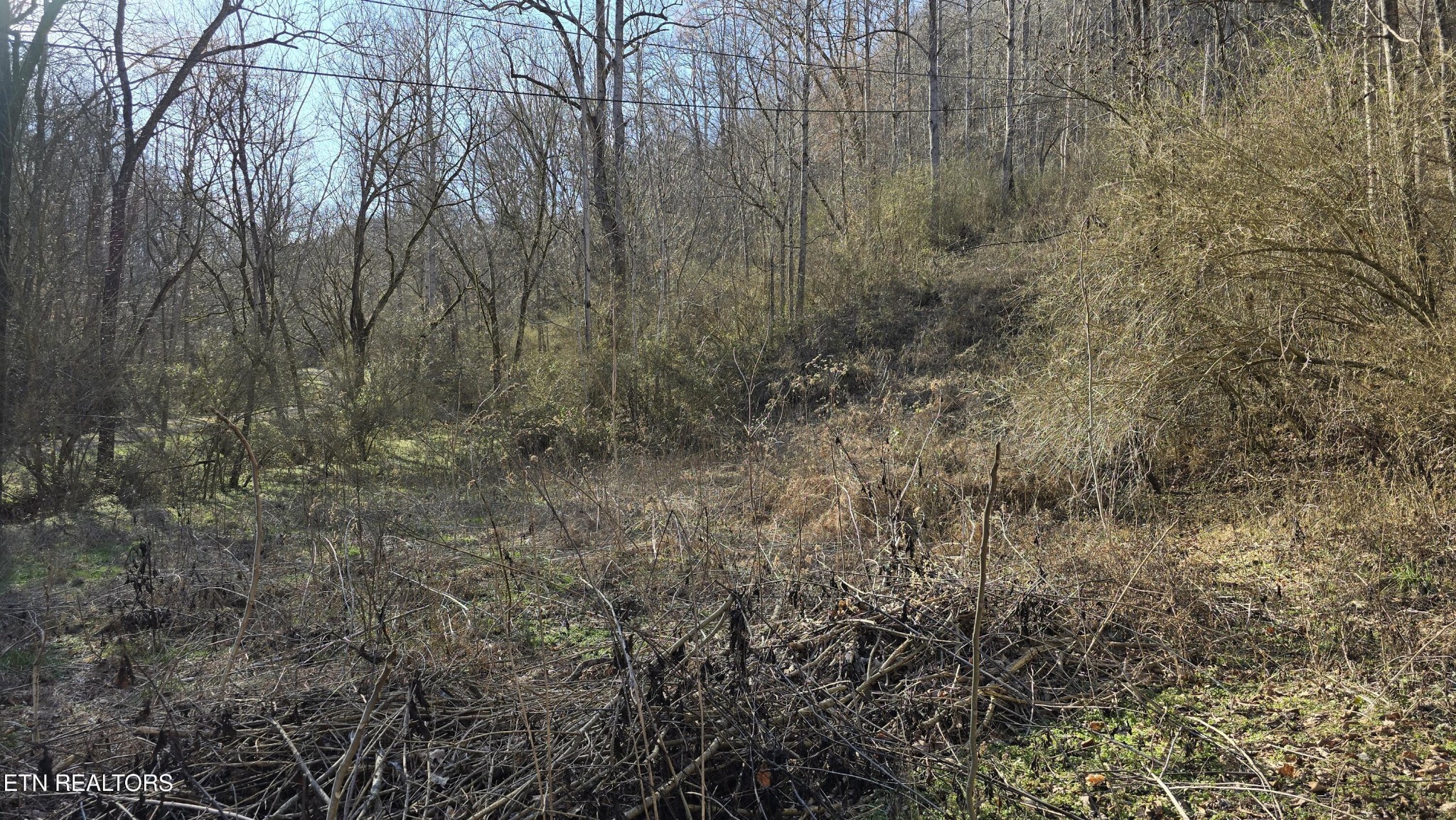 0 Red Ankle Road Sweetwater, TN 37874 - Photo 20 of 32 Gallery Image 20