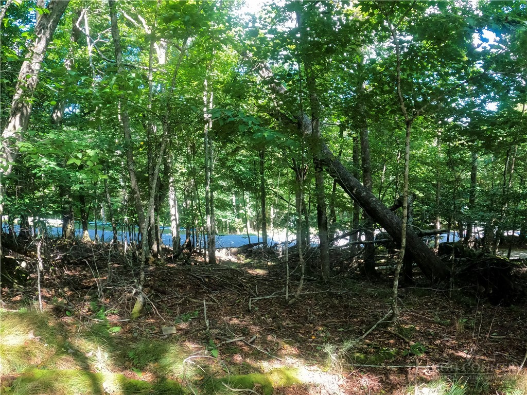 112 Tamarack Road Beech Mountain, NC 28604 - Photo 10 of 17 Gallery Image 10