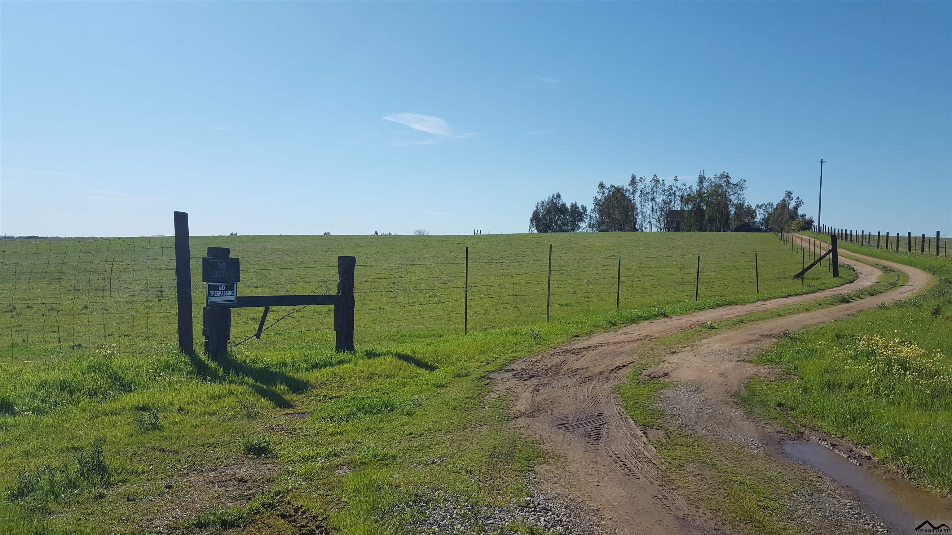 0 Unassigned Street Name, Unit CATTLE DRIVE ROAD Corning, CA 96021 - Photo 3 of 23