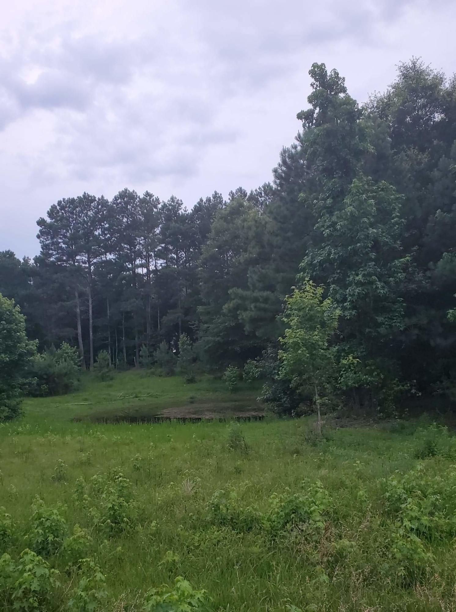 3130 Corinth Road LaFayette, GA 30728 - Photo 12 of 13 13
