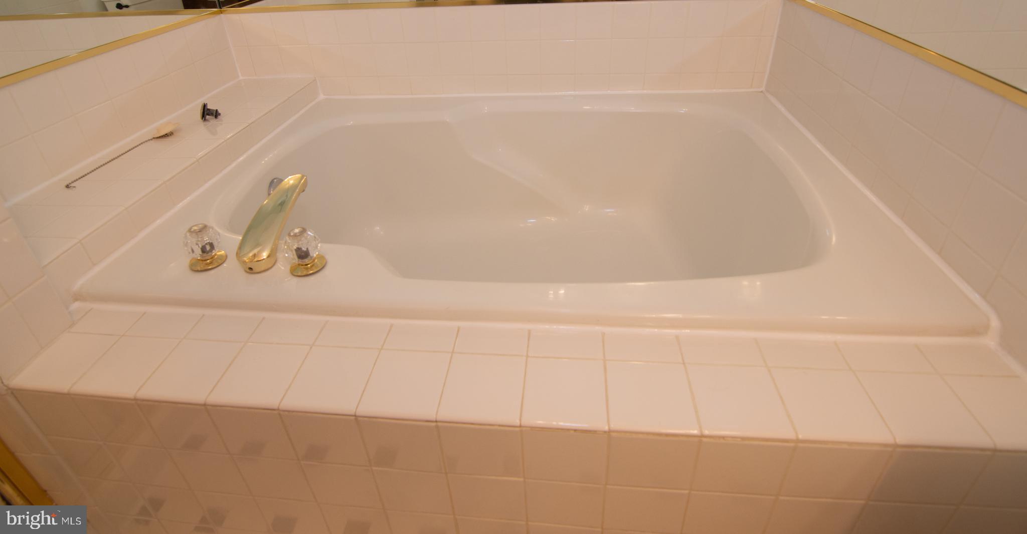 11415 Hollow Timber Way Reston, VA 20194 - Photo 33 of 50 Upper Level Primary Bath w/ Soaking Tub