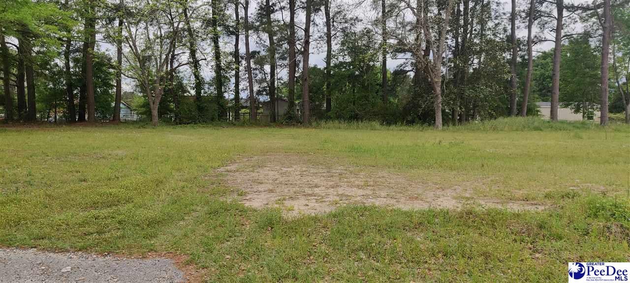 Lot 3 Rio Drive Darlington, SC 29532 - Photo 1 of 1 Gallery Image 1