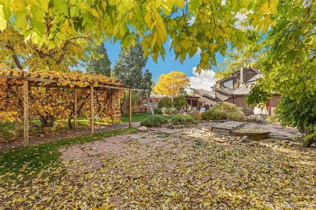 a view of a yard with plants and trees