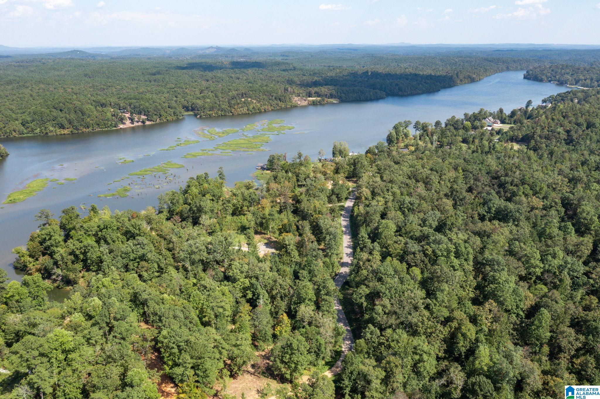 Lot 11 County Road 730, Unit 11 Clanton, AL 35046 - Photo 6 of 14
