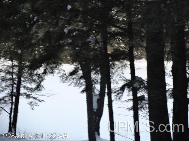 14392 N Crooked Lake Road Shingleton, MI 49884 - Photo 16 of 34