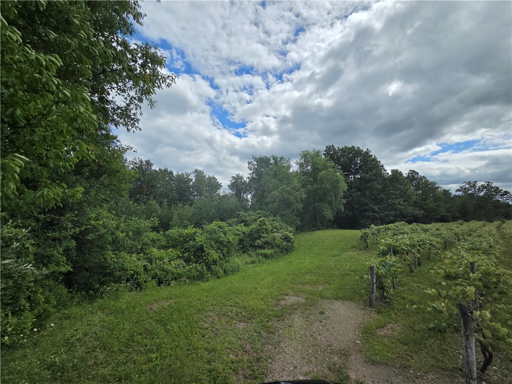 Sutton Road Penn Yan, NY 14527 - Photo 23 of 46 Gallery Image 23