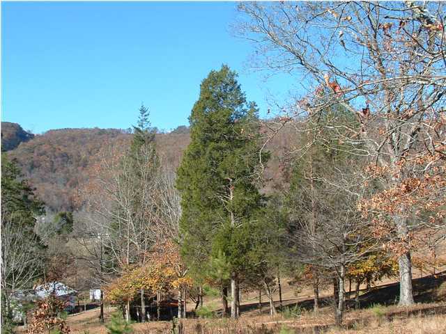 66 Chapel Drive Rising Fawn, GA 30738 - Photo 1 of 3 Primary Photo