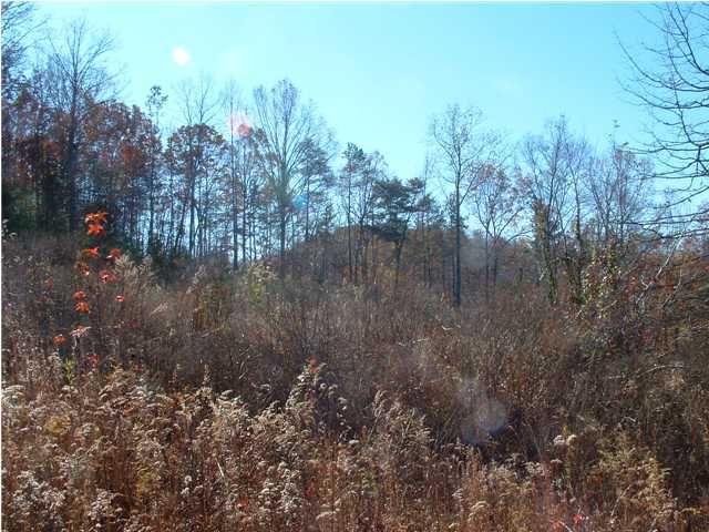 66 Chapel Drive Rising Fawn, GA 30738 - Photo 3 of 3 Additional Photo