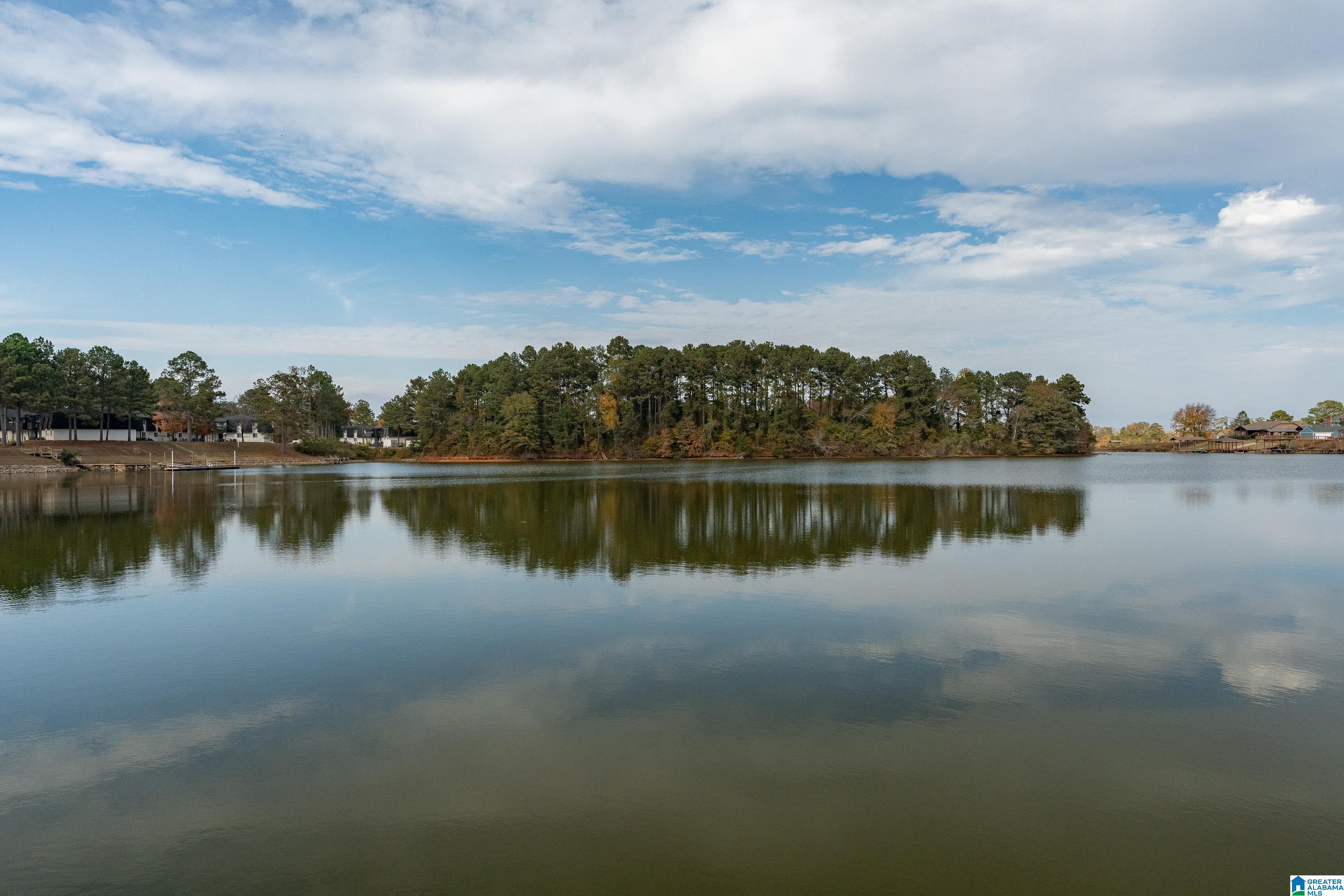 283 Coves Pointe Drive Riverside, AL 35135 - Photo 22 of 28