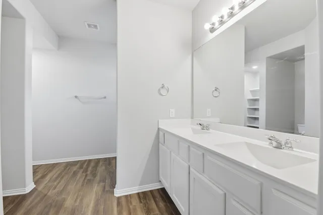 a bathroom with a sink and a mirror