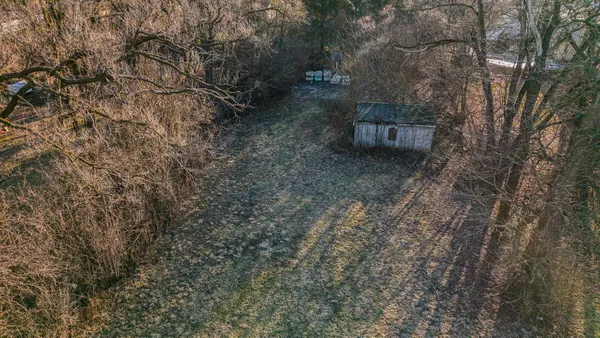 a view of a backyard with large trees