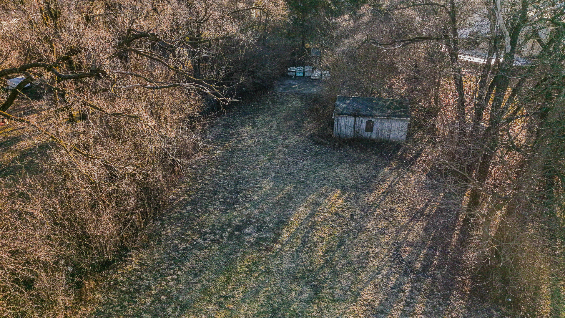 16809 Wolf Road Orland Park, IL 60467 - Photo 2 of 9