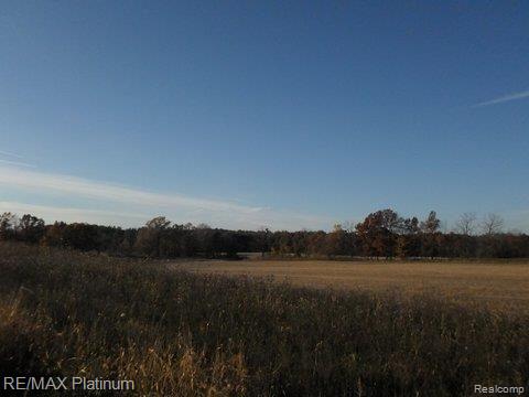 V/l East Highland Road Howell, MI 48843 - Photo 2 of 5