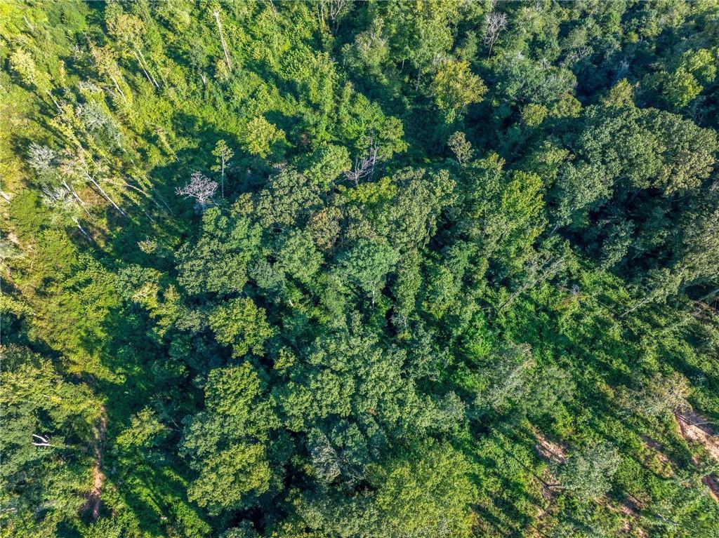 Lot 10 Stewart Loop Commerce, GA 30529 - Photo 7 of 12 a view of a lush green forest