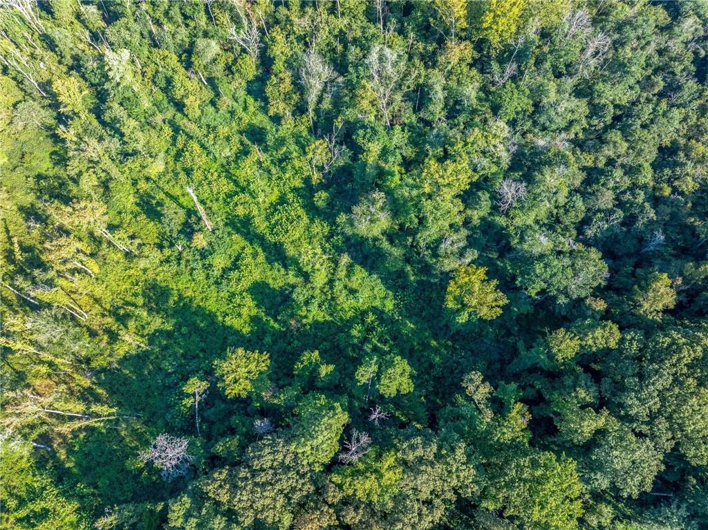 Lot 10 Stewart Loop Commerce, GA 30529 - Photo 8 of 12 a view of a lush green forest