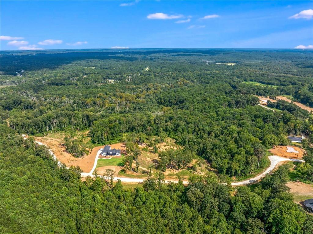 Lot 10 Stewart Loop Commerce, GA 30529 - Photo 10 of 12 a view of a city with lush green forest