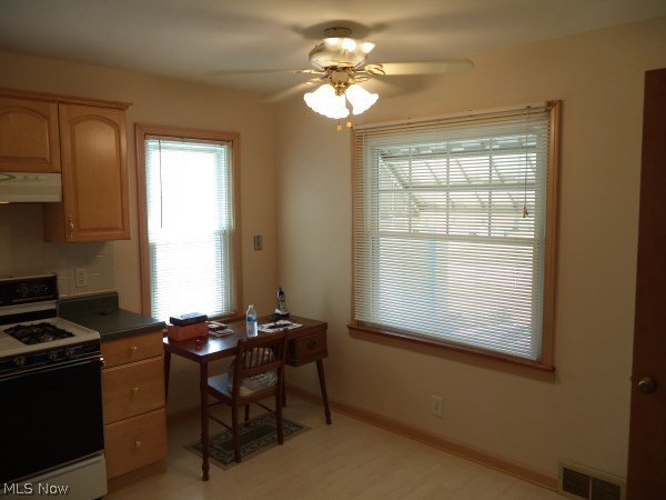710 Ridge Road Newton Falls, OH 44444 - Photo 4 of 26 Gallery Image 4