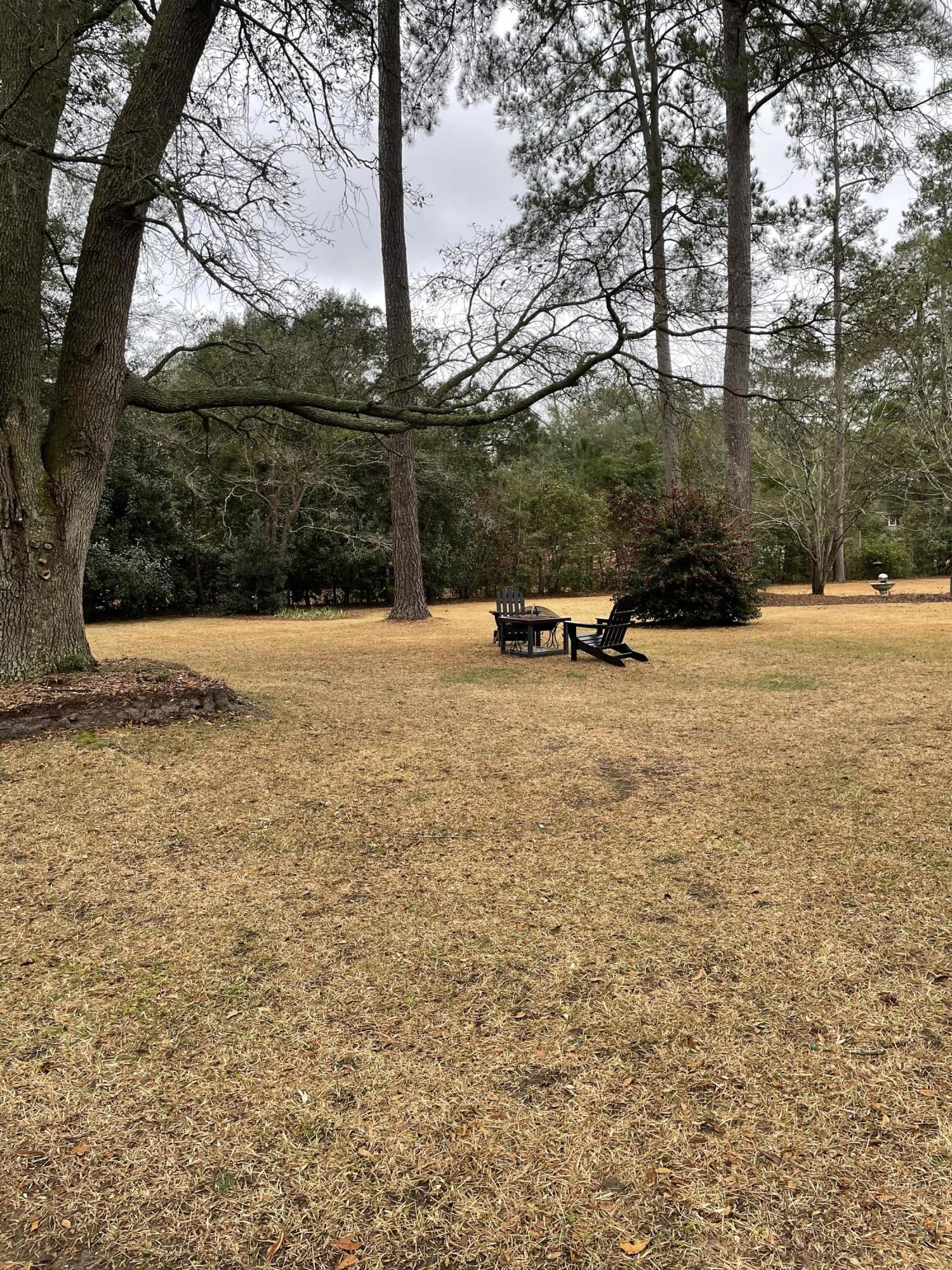 1432 Indiantown Road Kingstree, SC 29556 - Photo 22 of 22 Spacious Yard