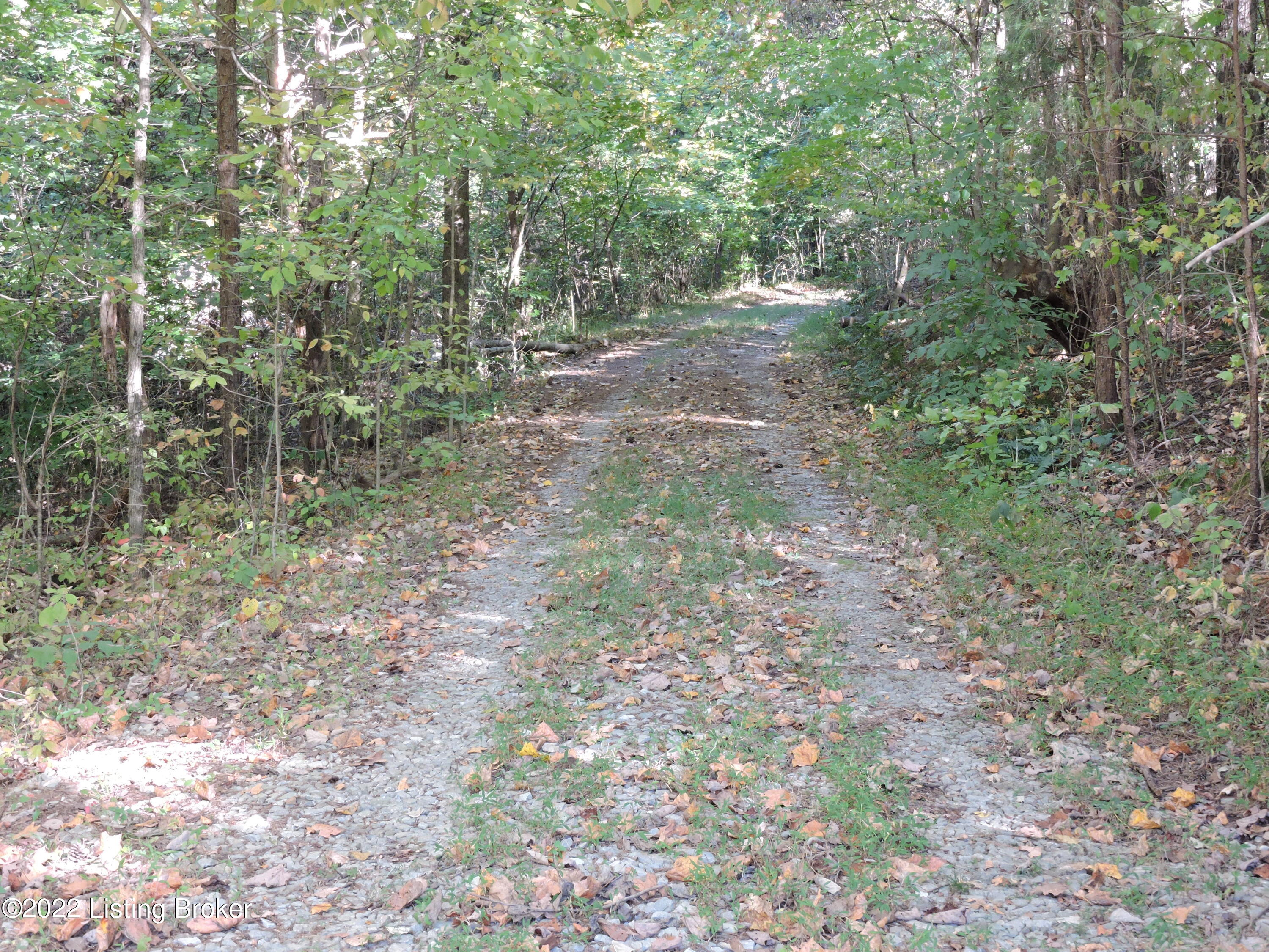 1280 Old Hartford Road Caneyville, KY 42721 - Photo 46 of 50 DSCN2013