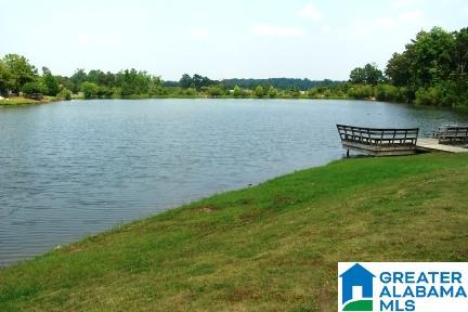 248 Addison Drive Calera, AL 35040 - Photo 43 of 43