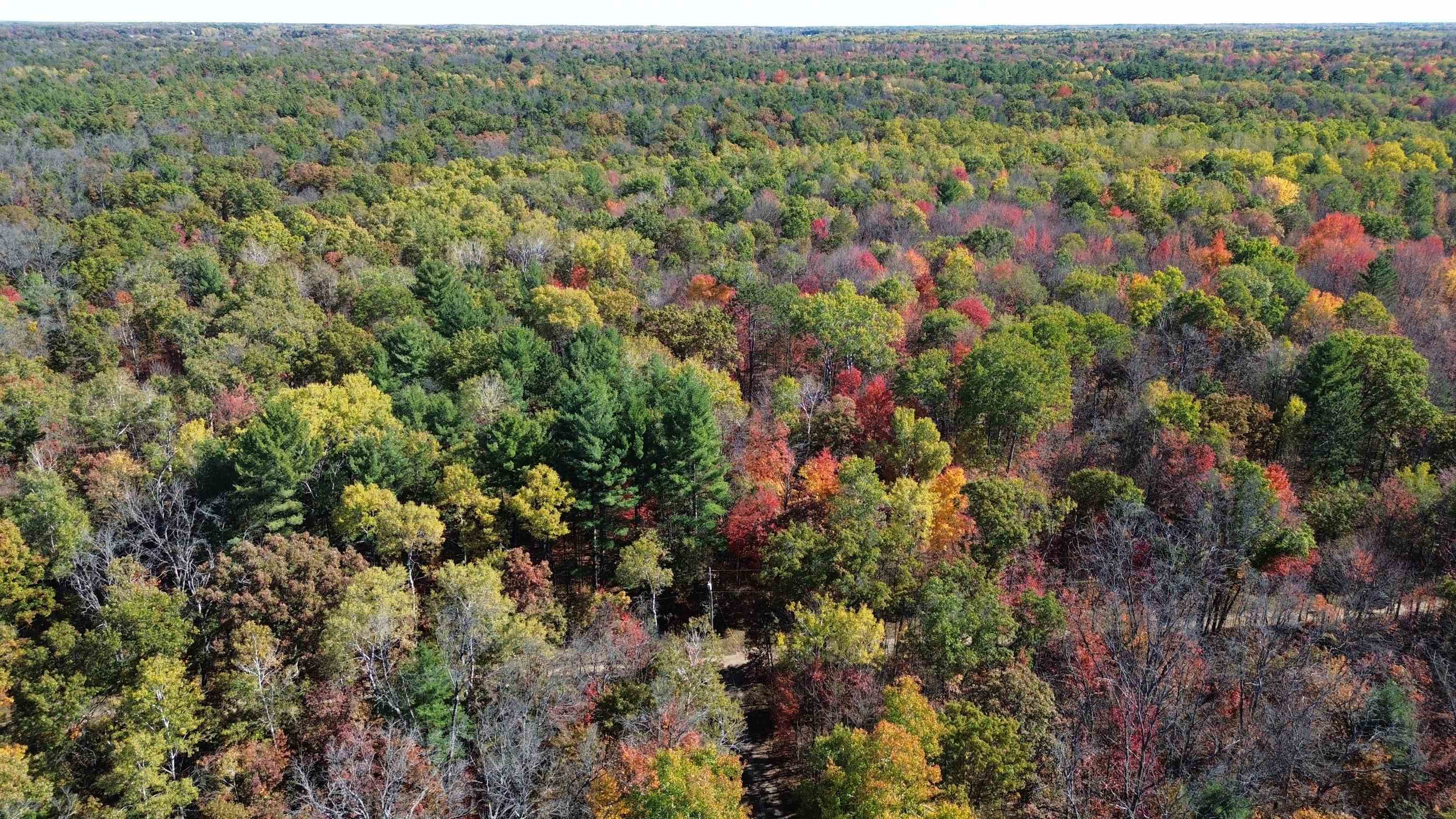 0 Timber Trail Prescott, MI 48756 - Photo 24 of 44