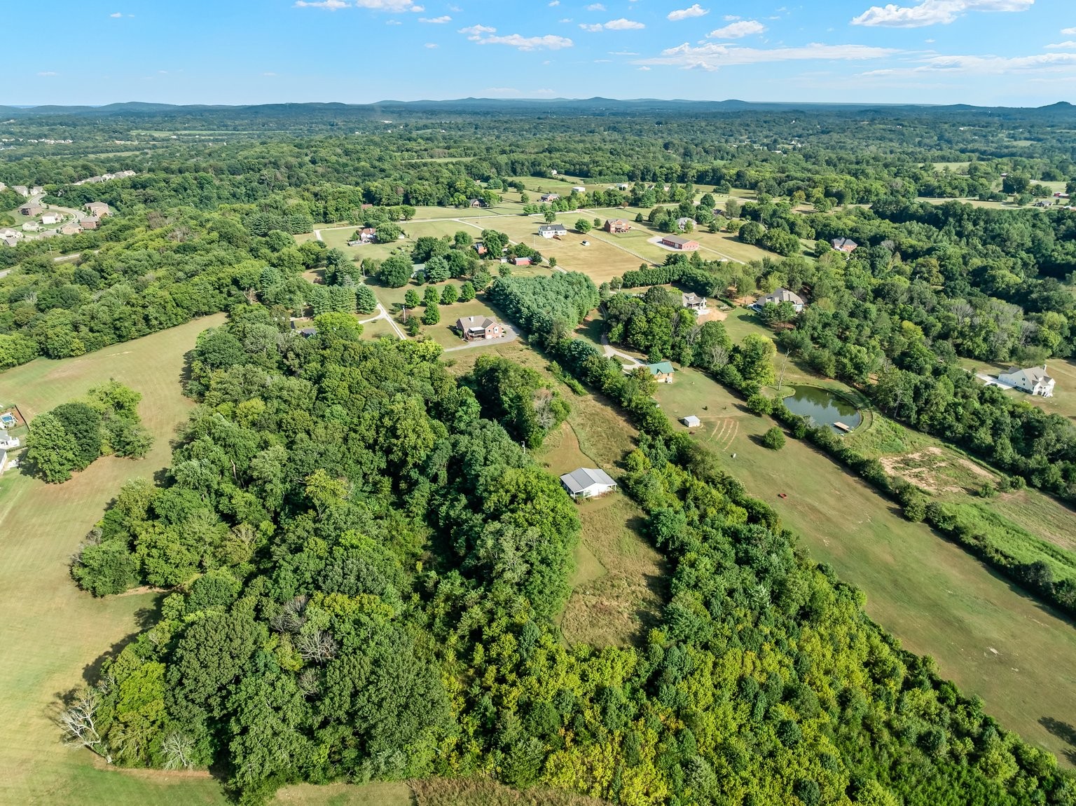 6531 Eudailey-Covington Road College Grove, TN 37046 - Photo 40 of 42 Gallery Image 40
