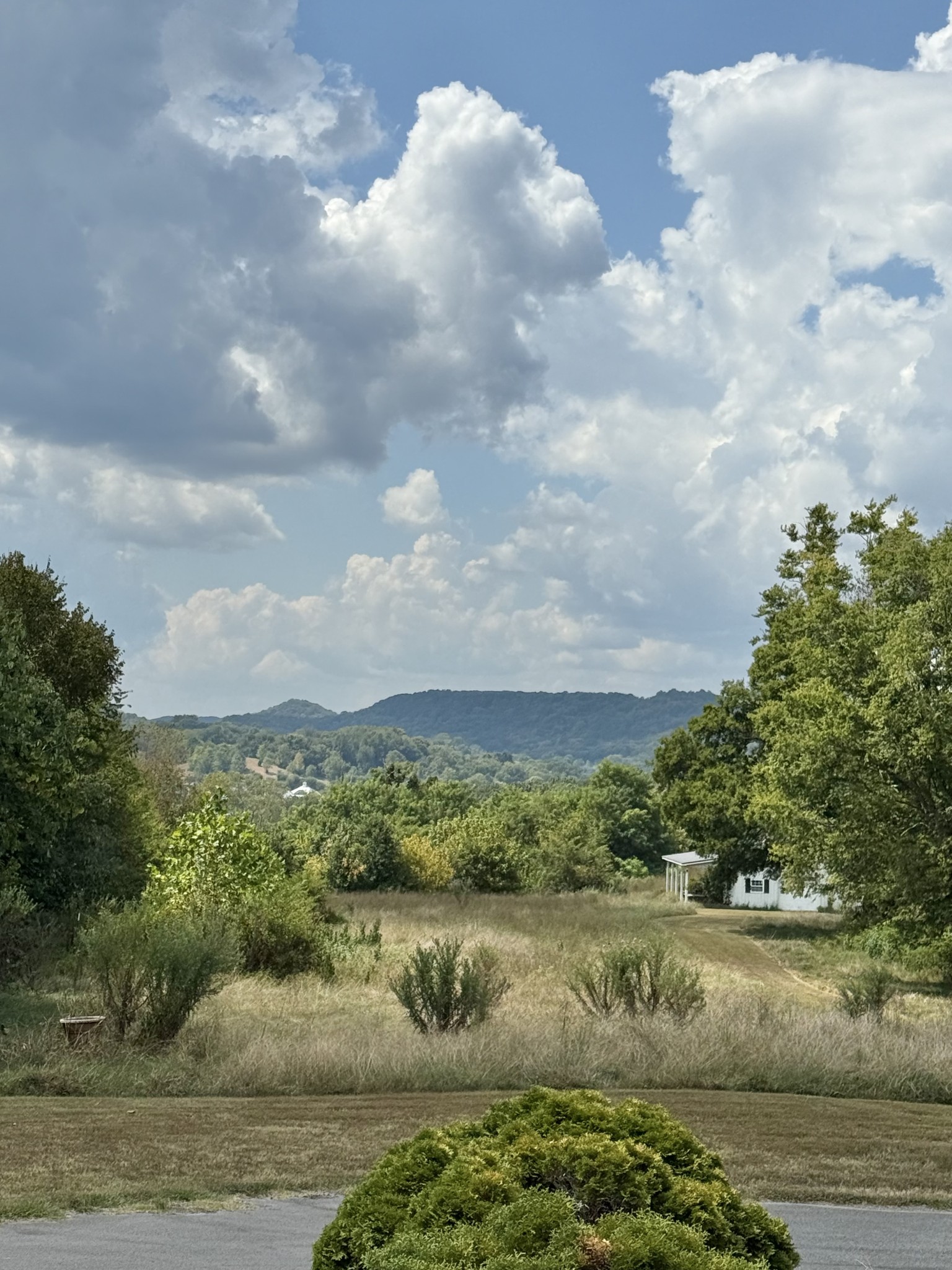 6531 Eudailey-Covington Road College Grove, TN 37046 - Photo 42 of 42 Gallery Image 42