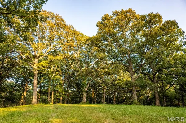 $395,200 | 0 Highway D - Tract 9 (24.7 /- Acres) Eolia Mo 63344, Eolia, MO 63344