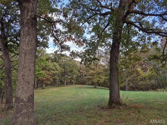 $407,550 | 0 Highway D - Tract 9 (24.7 /- Acres) Eolia Mo 63344, Eolia, MO 63344