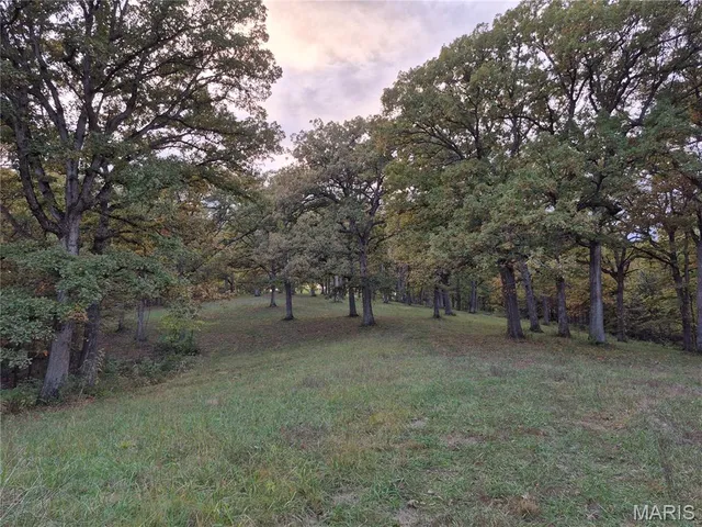 $407,550 | 0 Highway D - Tract 9 (24.7 /- Acres) Eolia Mo 63344, Eolia, MO 63344