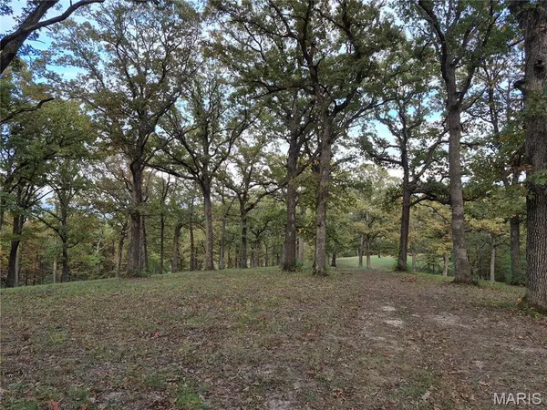 $395,200 | 0 Highway D - Tract 9 (24.7 /- Acres) Eolia Mo 63344, Eolia, MO 63344