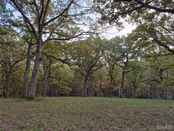 $395,200 | 0 Highway D - Tract 9 (24.7 /- Acres) Eolia Mo 63344, Eolia, MO 63344