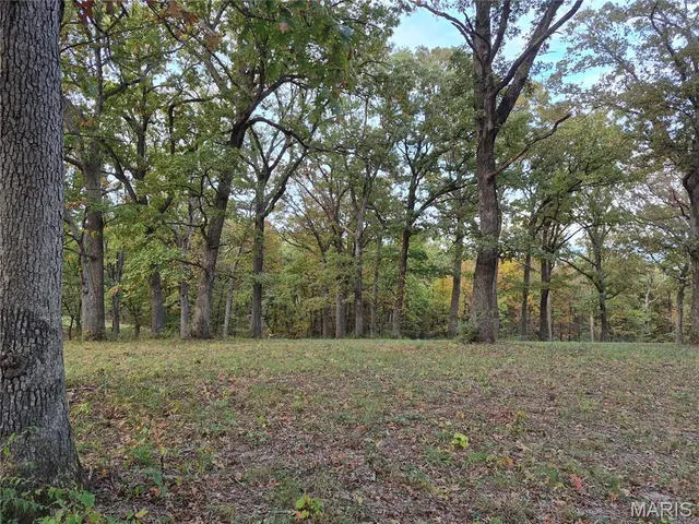 $407,550 | 0 Highway D - Tract 9 (24.7 /- Acres) Eolia Mo 63344, Eolia, MO 63344