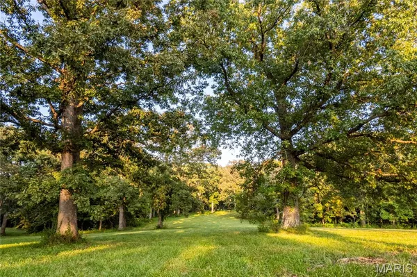 $395,200 | 0 Highway D - Tract 9 (24.7 /- Acres) Eolia Mo 63344, Eolia, MO 63344