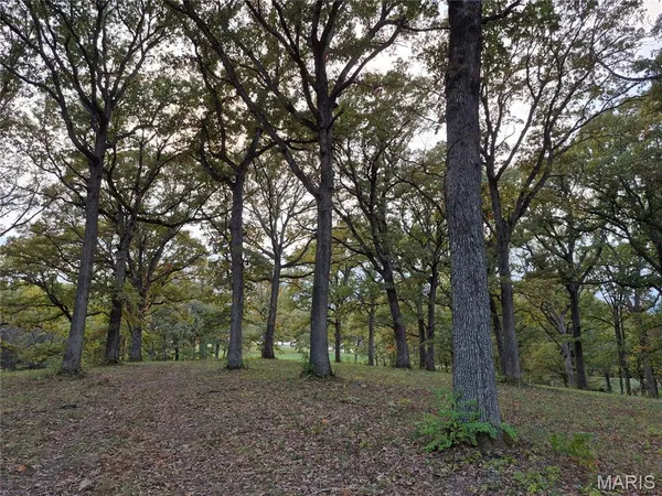 $395,200 | 0 Highway D - Tract 9 (24.7 /- Acres) Eolia Mo 63344, Eolia, MO 63344