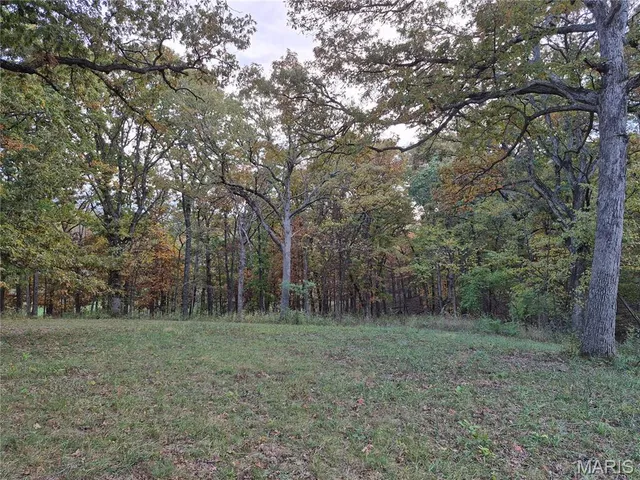 $407,550 | 0 Highway D - Tract 9 (24.7 /- Acres) Eolia Mo 63344, Eolia, MO 63344