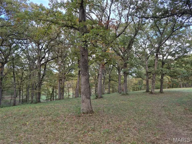 $407,550 | 0 Highway D - Tract 9 (24.7 /- Acres) Eolia Mo 63344, Eolia, MO 63344