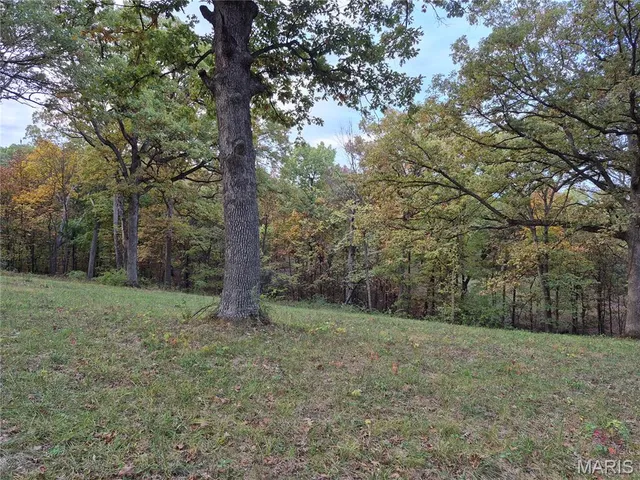 $407,550 | 0 Highway D - Tract 9 (24.7 /- Acres) Eolia Mo 63344, Eolia, MO 63344