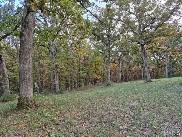 $407,550 | 0 Highway D - Tract 9 (24.7 /- Acres) Eolia Mo 63344, Eolia, MO 63344