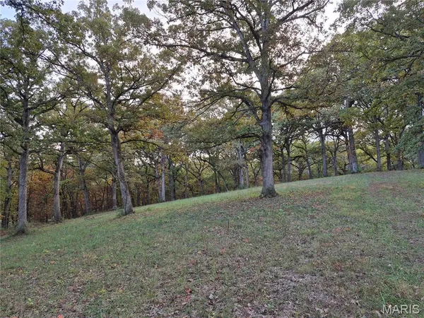 $395,200 | 0 Highway D - Tract 9 (24.7 /- Acres) Eolia Mo 63344, Eolia, MO 63344