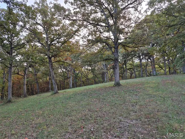 $407,550 | 0 Highway D - Tract 9 (24.7 /- Acres) Eolia Mo 63344, Eolia, MO 63344