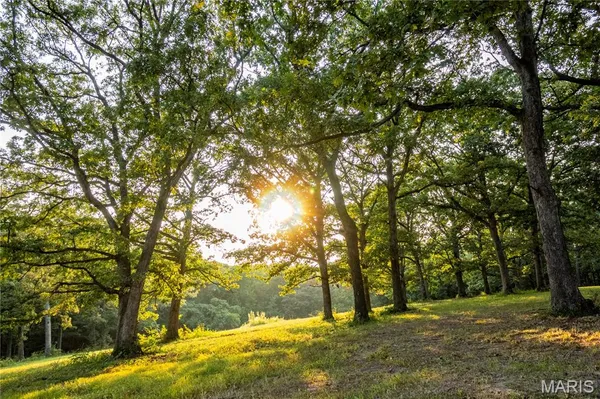 $395,200 | 0 Highway D - Tract 9 (24.7 /- Acres) Eolia Mo 63344, Eolia, MO 63344